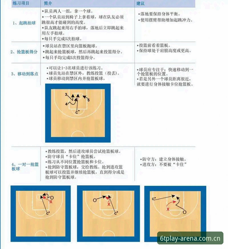 6T体育官网实用指南：打造极致观赛体验的必备知识